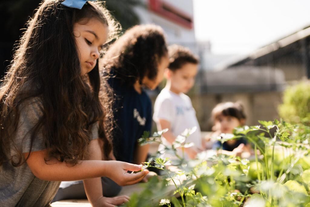 Integra_HD_2024 (15)